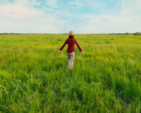 ThinkstockPhotos-537286857