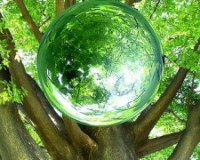 resize-1.php_1-225x300
