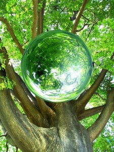 resize-1.php_1-225x300